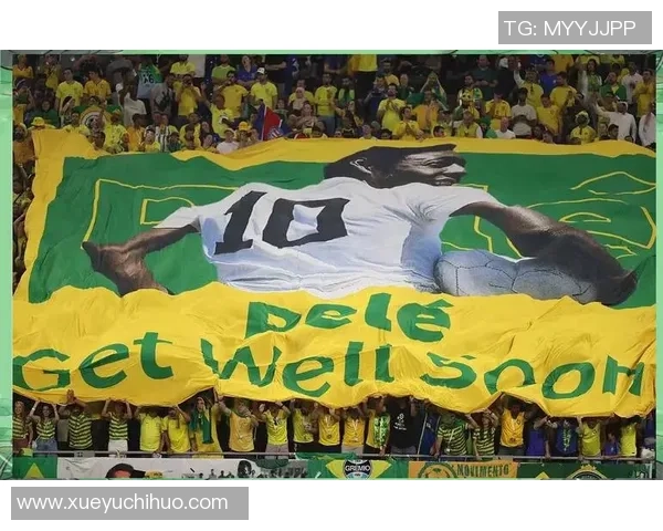 足球十大陨落球星揭秘那些曾经辉煌如今沦落的巨星故事